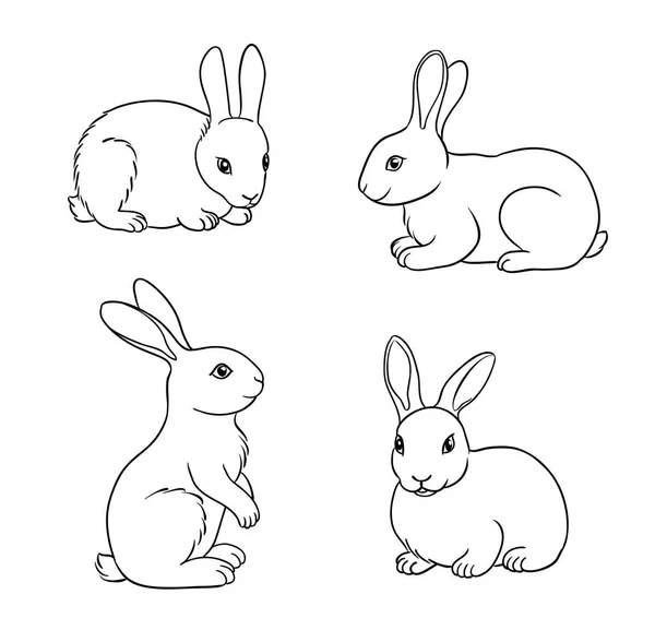 Ensemble de lapins en contours - illustration vectorielle — Image vectorielle