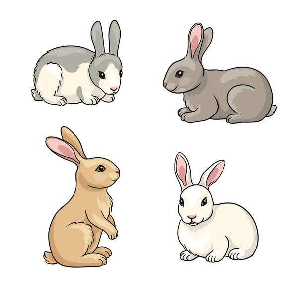 Set of Rabbits - vector illustration — Stock Vector