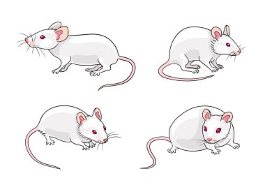White mice - vector illustration clipart