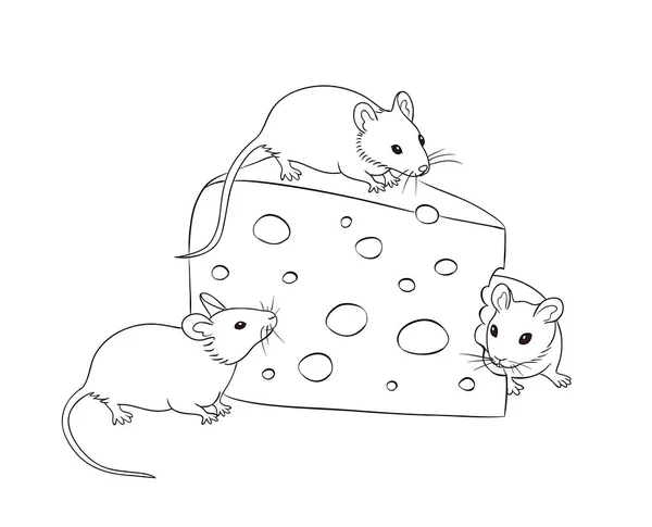 Tres ratones con un trozo de queso (en contornos ) — Vector de stock