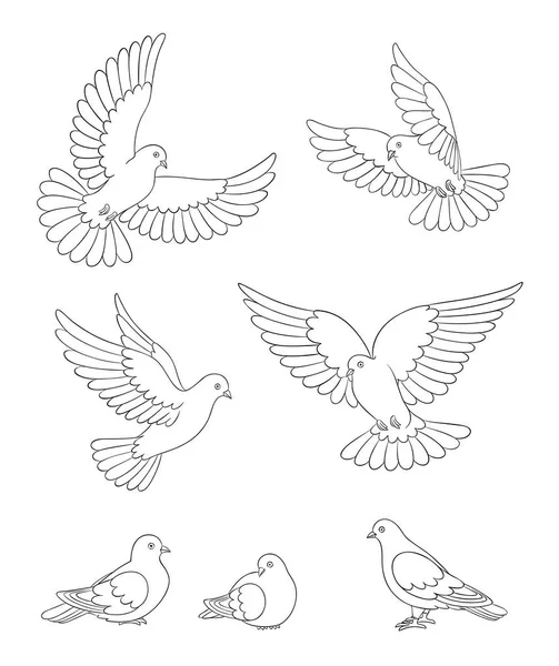 Conjunto de palomas blancas en contornos - ilustración vectorial — Archivo Imágenes Vectoriales