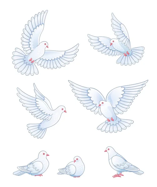 Set van witte duiven - vectorillustratie — Stockvector