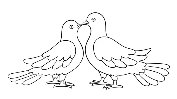 Couple of doves kissing - countour vector illustration — Stock Vector