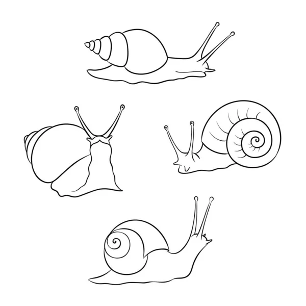 Set of snails in contours - vector illustration — 스톡 벡터