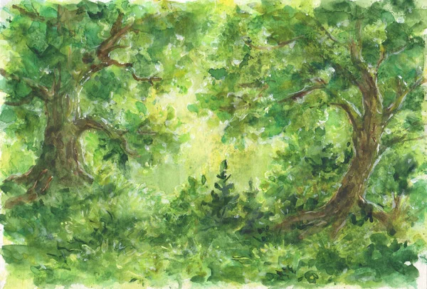 Wald-Aquarell-Landschaft - Zeichnung in grünen Farben — Stockfoto