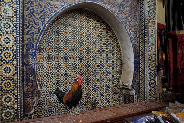 Traditional Moroccan market (souk) in Fez, Morocco — Stock Photo, Image