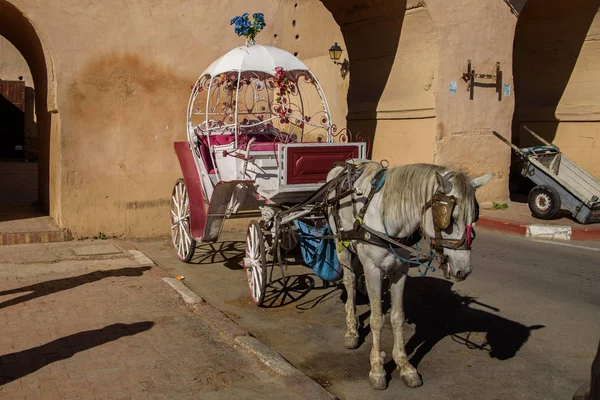 Meknes - az egyik a négy birodalmi városok, Marokkó Jogdíjmentes Stock Képek