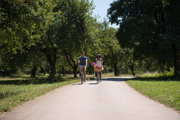 Joven pareja multiétnica teniendo un paseo en bicicleta en la naturaleza —  Fotos de Stock