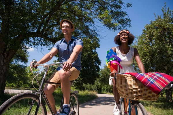 젊은 multiethnic 몇 데 자전거 타고 자연 — 스톡 사진