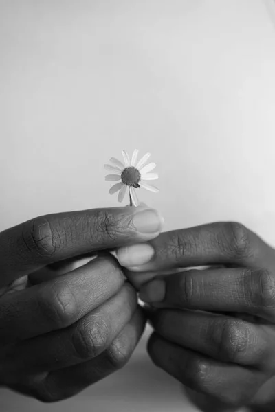 Porträtt av African American tjej med en blomma i handen — Stockfoto