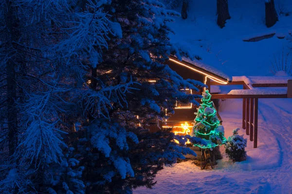 Árbol de Navidad decoración al aire libre — Foto de Stock