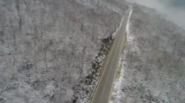 Kış ormanı boyunca yol