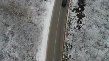 Kış ormanı boyunca yol