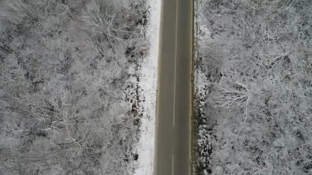 Strada attraverso la foresta invernale — Video Stock