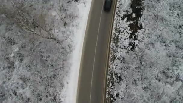 穿越冬季森林的道路 — 图库视频影像