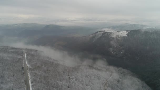 Prachtig winterbos — Stockvideo