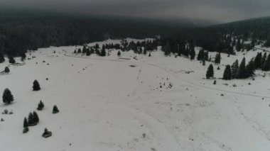 Güzel Kış Ormanı