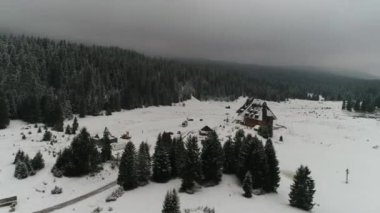 Güzel Kış Ormanı