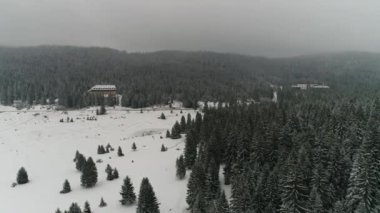 Güzel Kış Ormanı