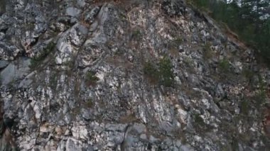 Güzel Kış Ormanı