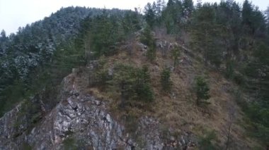 Güzel Kış Ormanı