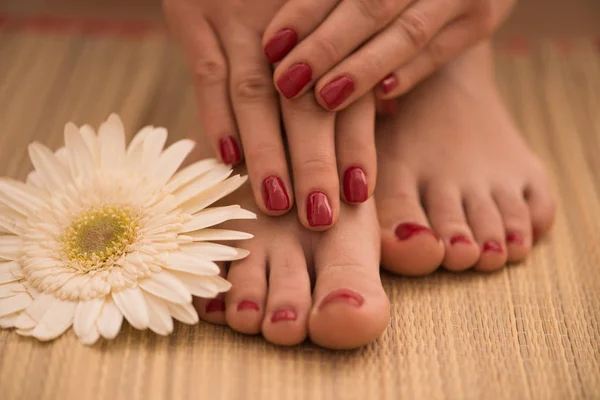 Жіночі ноги і руки в спа-салоні — стокове фото