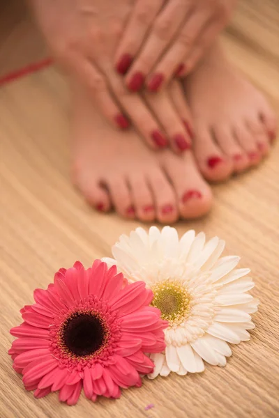 Жіночі ноги і руки в спа-салоні — стокове фото