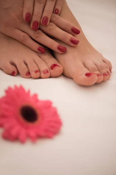 Female feet and hands at spa salon — Stock Photo, Image