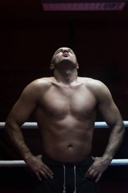 kas profesyonel kick boks şampiyonu