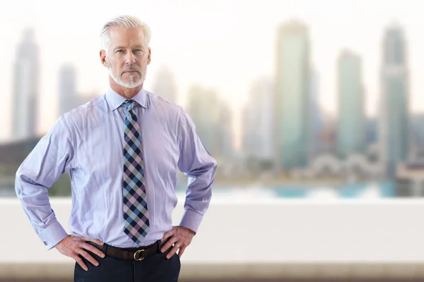 Senior businessman in front of the big city — Stock Photo, Image