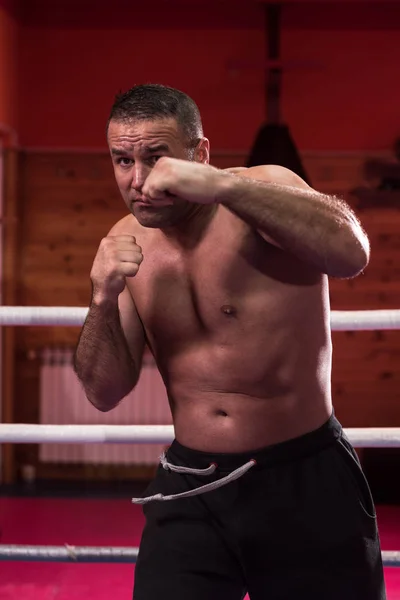 Profi kickboxer a képzési ringben — Stock Fotó