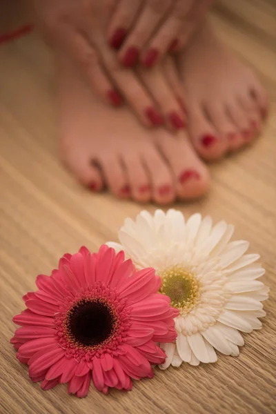 女性的脚和手在 spa 沙龙 — 图库照片