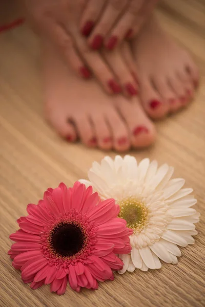 Pés femininos e mãos no salão de spa — Fotografia de Stock