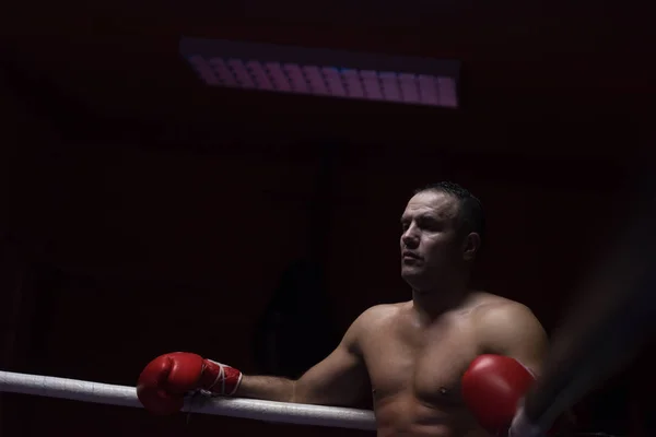 Köşedeki halatlar üzerinde dinlenme kick boks şampiyonu — Stok fotoğraf