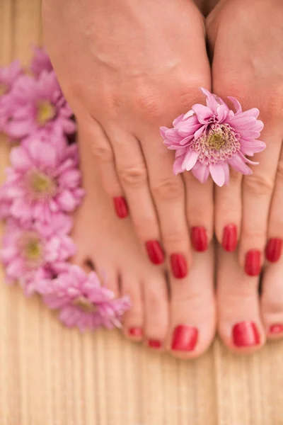 Weibliche Füße und Hände im Wellness-Salon — Stockfoto