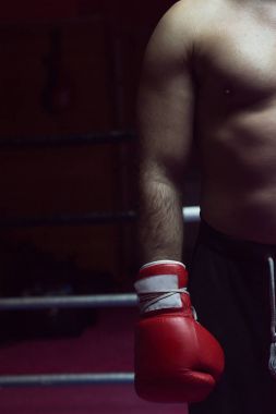 onun eldiven odaklı bir kick boks