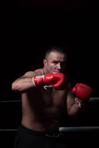 Profi kickboxer a képzési ringben — Stock Fotó