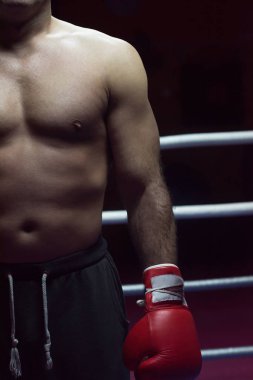 onun eldiven odaklı bir kick boks