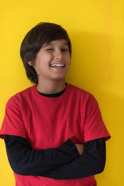 Portréja egy boldog fiatal fiú — Stock Fotó