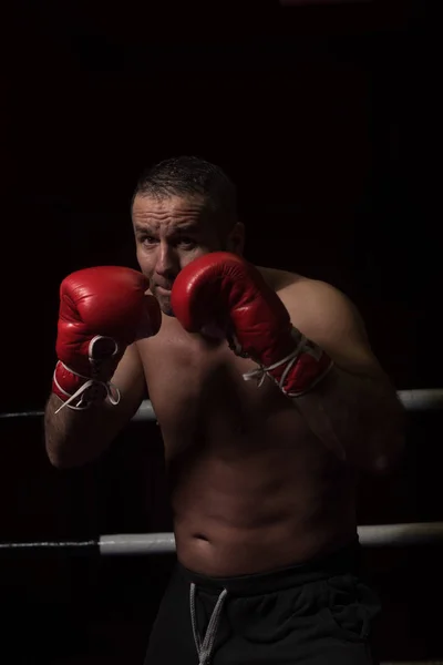 Profi kickboxer a képzési ringben — Stock Fotó