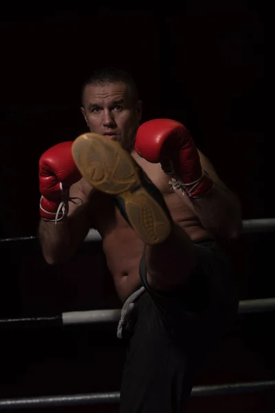 Profesjonalny kickboxer na ringu treningowym — Zdjęcie stockowe