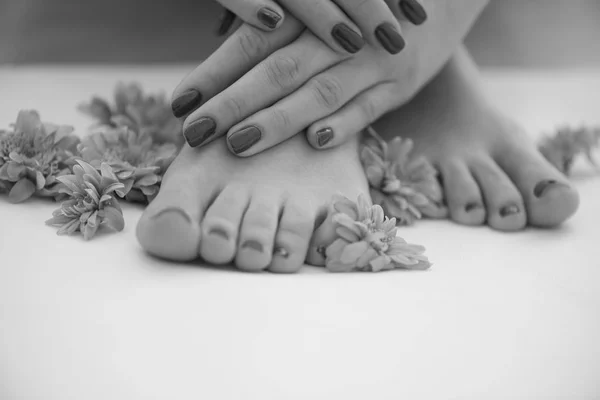Vrouwelijke voeten en handen op spa salon — Stockfoto