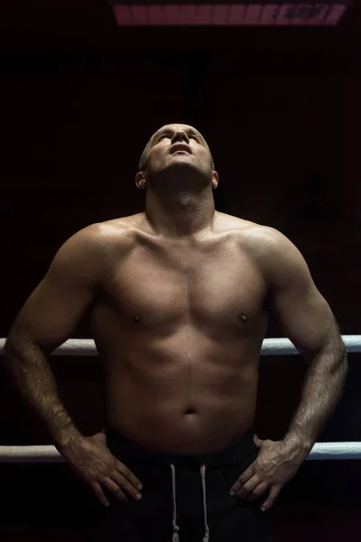 Portret van gespierde professionele kickbokser — Stockfoto