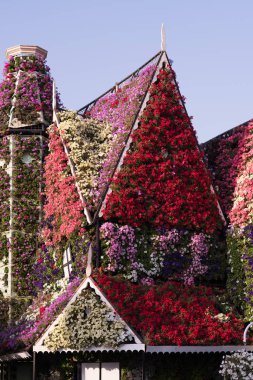 dubai mucize bahçesi