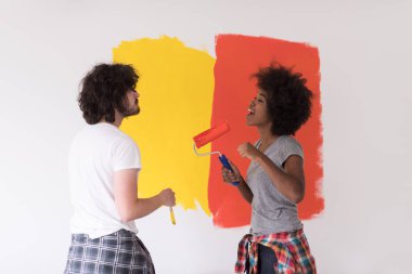 çok ırklı çift boya iç cephe