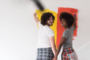 çok ırklı çift boya iç cephe