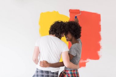 çok ırklı çift boya iç cephe