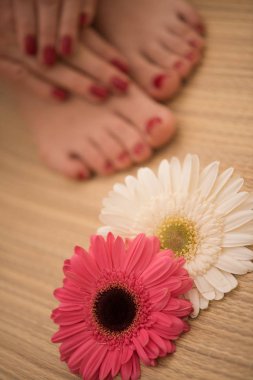 kadın ayak ve el spa Salonu