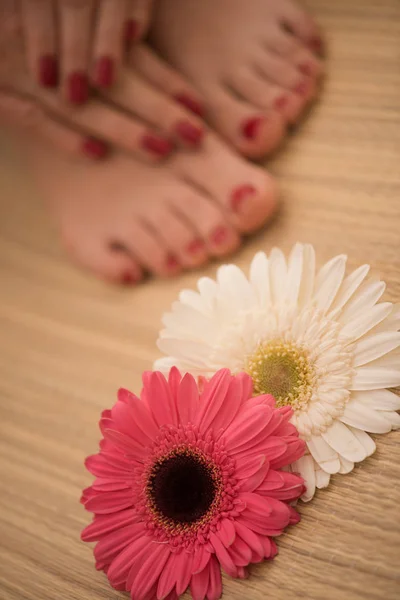 Pés femininos e mãos no salão de spa — Fotografia de Stock