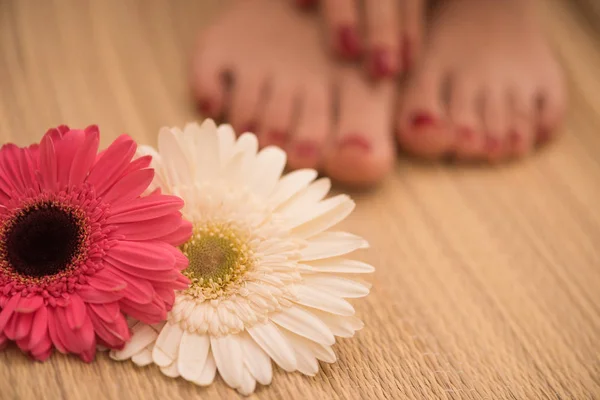 Pés femininos e mãos no salão de spa — Fotografia de Stock